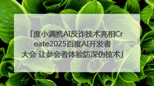 度小满携AI反诈技术亮相Create2025百度AI开发者大会 让参会者体验防深伪技术