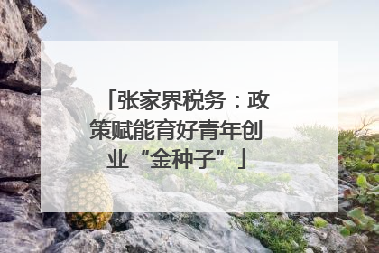 张家界税务：政策赋能育好青年创业“金种子”
