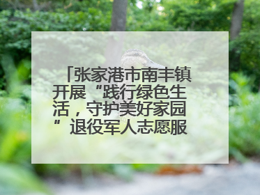 张家港市南丰镇开展“践行绿色生活，守护美好家园”退役军人志愿服务活动