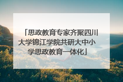 思政教育专家齐聚四川大学锦江学院共研大中小学思政教育一体化