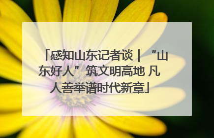感知山东记者谈｜“山东好人”筑文明高地 凡人善举谱时代新章