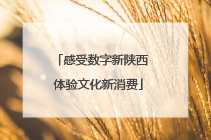 感受数字新陕西 体验文化新消费
