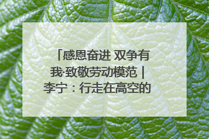 感恩奋进 双争有我·致敬劳动模范｜李宁：行走在高空的“电网卫士”