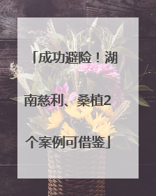 成功避险！湖南慈利、桑植2个案例可借鉴