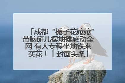 成都“栀子花孃孃”带脑瘫儿摆地摊感动全网 有人专程坐地铁来买花！丨封面头条