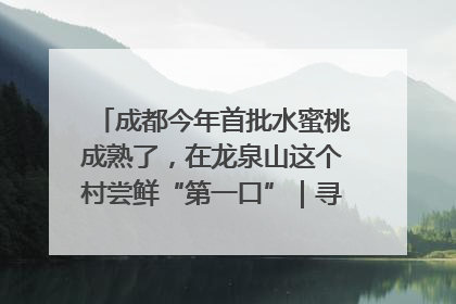 成都今年首批水蜜桃成熟了，在龙泉山这个村尝鲜“第一口”｜寻找和美乡村推荐官