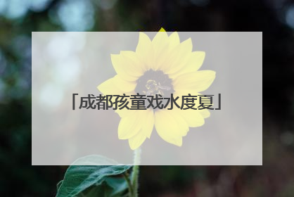成都孩童戏水度夏