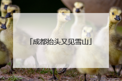 成都抬头又见雪山