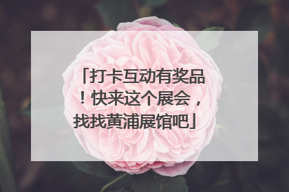 打卡互动有奖品！快来这个展会，找找黄浦展馆吧