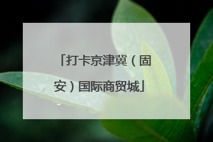打卡京津冀（固安）国际商贸城