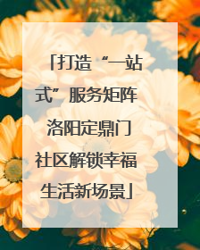 打造“一站式”服务矩阵 洛阳定鼎门社区解锁幸福生活新场景