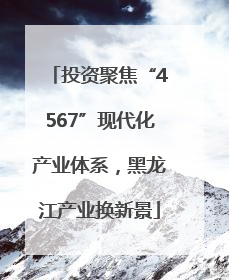 投资聚焦“4567”现代化产业体系，黑龙江产业换新景