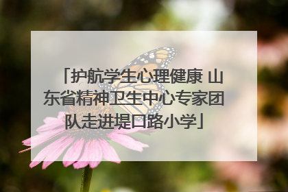 护航学生心理健康 山东省精神卫生中心专家团队走进堤口路小学