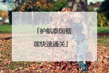 护航泰国榴莲快速通关