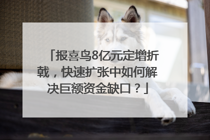 报喜鸟8亿元定增折戟，快速扩张中如何解决巨额资金缺口？