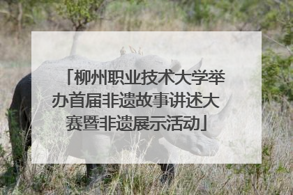 柳州职业技术大学举办首届非遗故事讲述大赛暨非遗展示活动