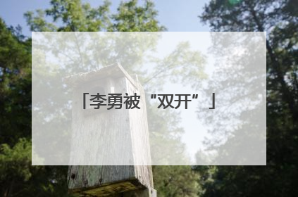 李勇被“双开”
