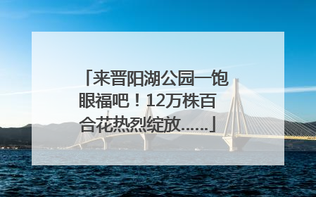 来晋阳湖公园一饱眼福吧！12万株百合花热烈绽放……