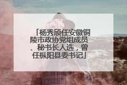 杨秀颀任安徽铜陵市政协党组成员、秘书长人选，曾任枞阳县委书记