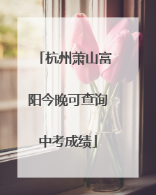 杭州萧山富阳今晚可查询中考成绩