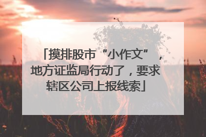 摸排股市“小作文”，地方证监局行动了，要求辖区公司上报线索