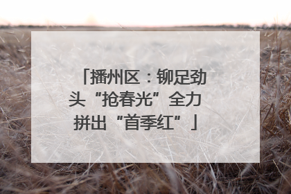 播州区：铆足劲头“抢春光”全力拼出“首季红”