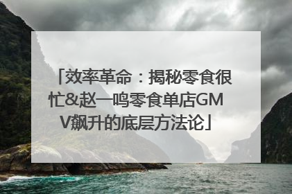 效率革命：揭秘零食很忙&赵一鸣零食单店GMV飙升的底层方法论
