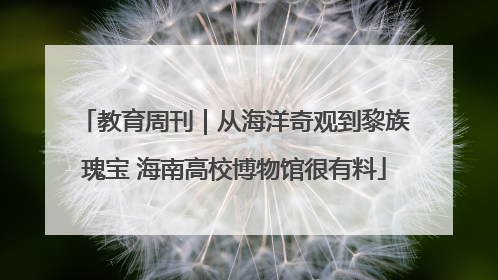 教育周刊｜从海洋奇观到黎族瑰宝 海南高校博物馆很有料