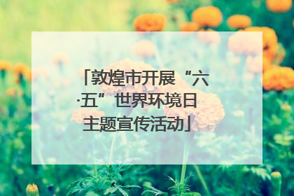 敦煌市开展“六·五”世界环境日主题宣传活动