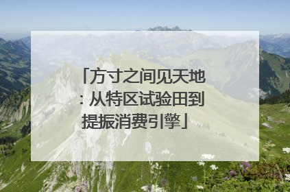 方寸之间见天地：从特区试验田到提振消费引擎