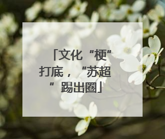 文化“梗”打底，“苏超”踢出圈