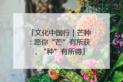文化中国行｜芒种：愿你“芒”有所获，“种”有所得