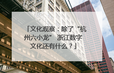 文化观察：除了“杭州六小龙” 浙江数字文化还有什么？