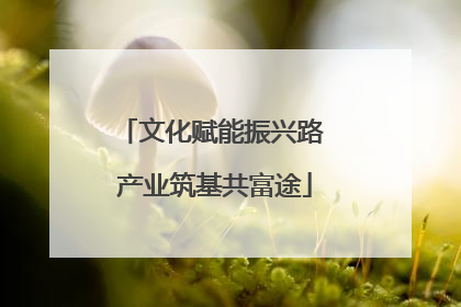 文化赋能振兴路 产业筑基共富途
