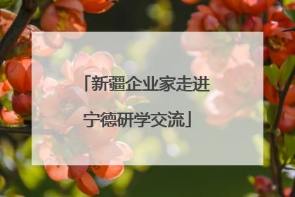 新疆企业家走进宁德研学交流