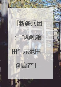 新疆兵团：“两吨粮田”示范田创高产
