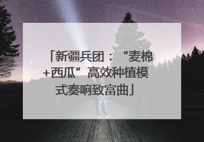 新疆兵团：“麦棉+西瓜”高效种植模式奏响致富曲