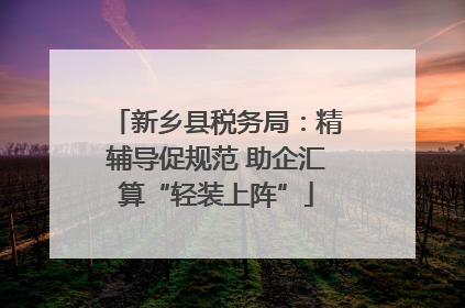 新乡县税务局：精辅导促规范 助企汇算“轻装上阵”
