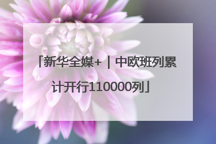 新华全媒+｜中欧班列累计开行110000列