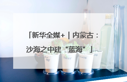 新华全媒+｜内蒙古：沙海之中建“蓝海”