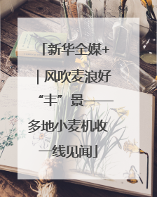 新华全媒+｜风吹麦浪好“丰”景——多地小麦机收一线见闻