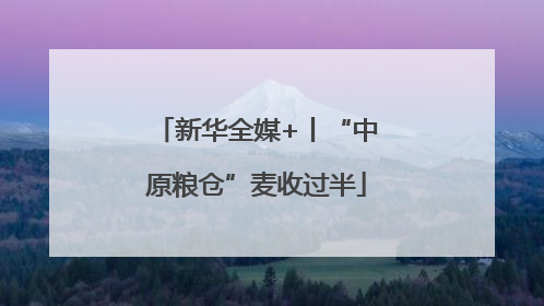新华全媒+丨“中原粮仓”麦收过半