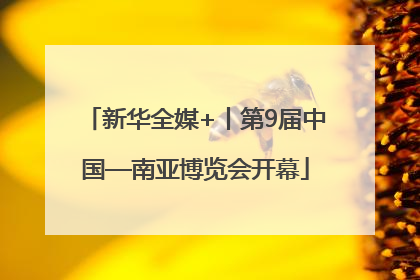 新华全媒+丨第9届中国—南亚博览会开幕