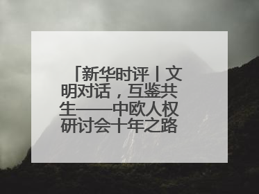新华时评丨文明对话，互鉴共生——中欧人权研讨会十年之路的深刻启示