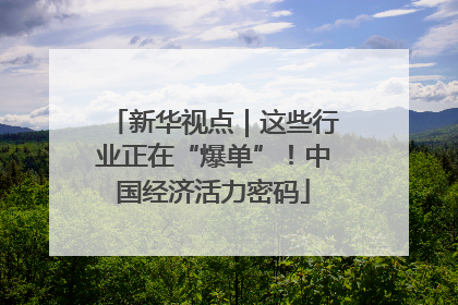 新华视点｜这些行业正在“爆单”！中国经济活力密码