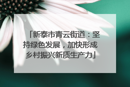 新泰市青云街道：坚持绿色发展，加快形成乡村振兴新质生产力
