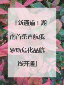 新通道！湖南首条直航俄罗斯危化品航线开通