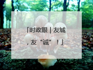 时政眼｜友城，友“诚”！