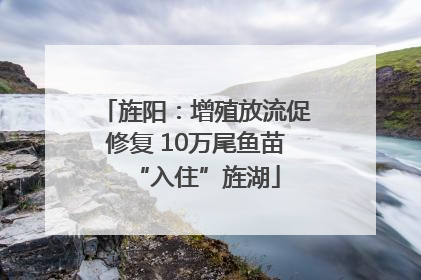 旌阳：增殖放流促修复 10万尾鱼苗“入住”旌湖