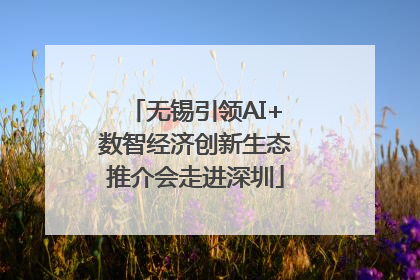无锡引领AI+数智经济创新生态推介会走进深圳